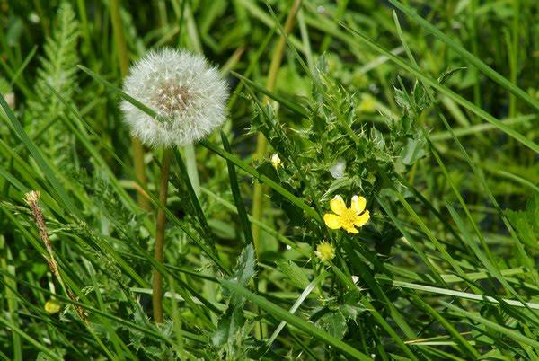 Амбуків з panoramio.com - Амбуків