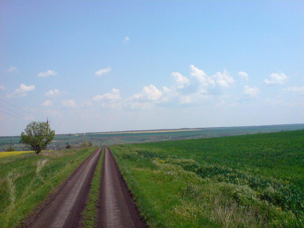 Балкове з panoramio.com - Балкове