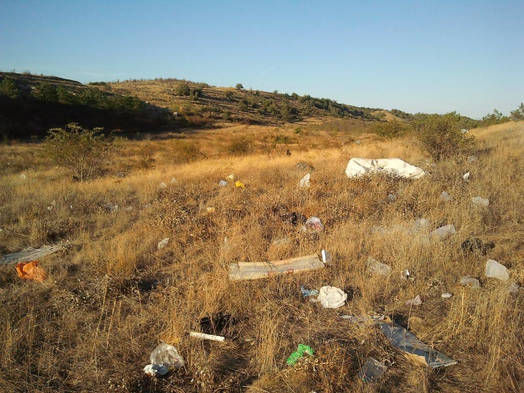 Некрасовка з panoramio.com - Некрасовка