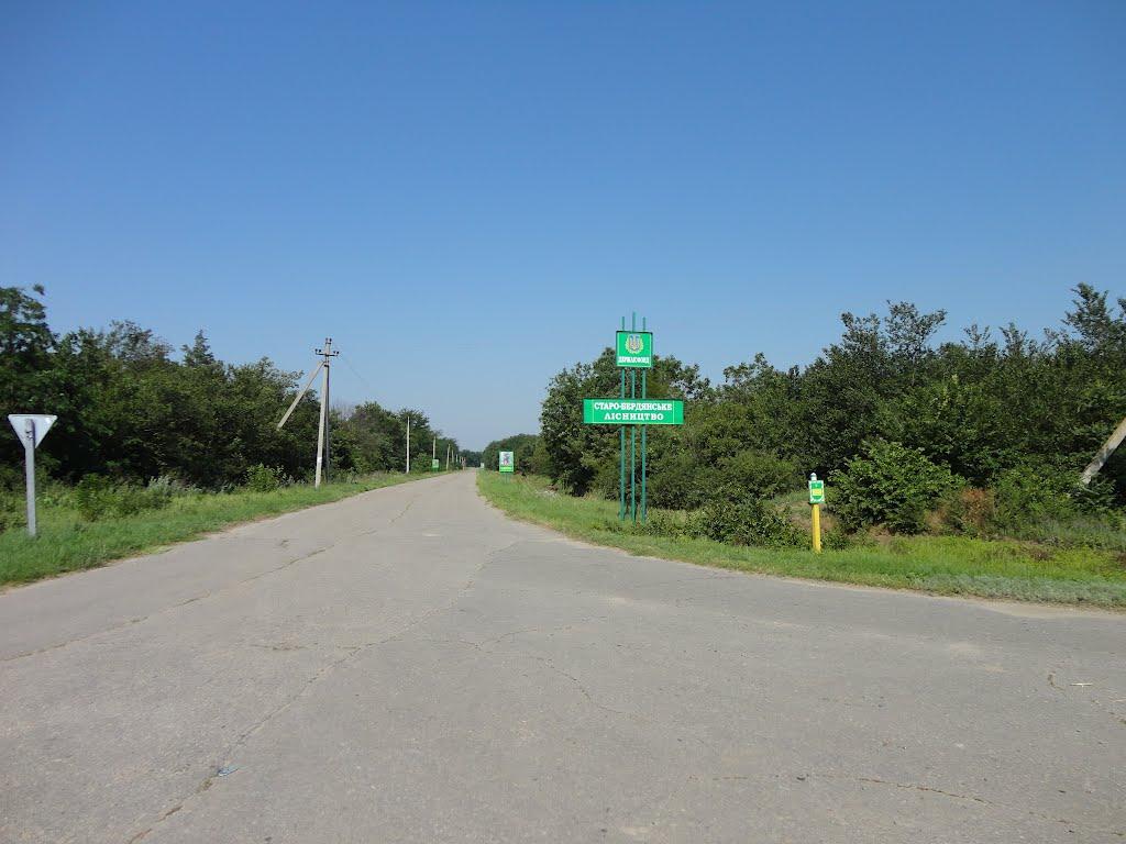 Новопилипівка з panoramio.com - Новопилипівка