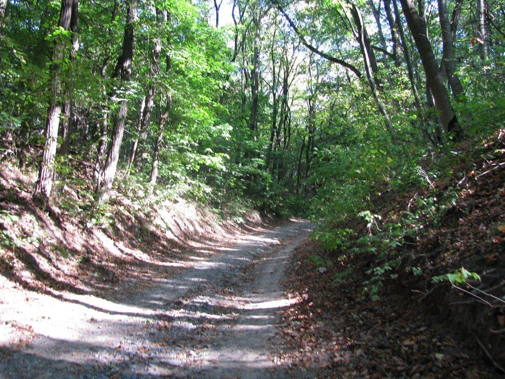 Яреськи з panoramio.com - Яреськи