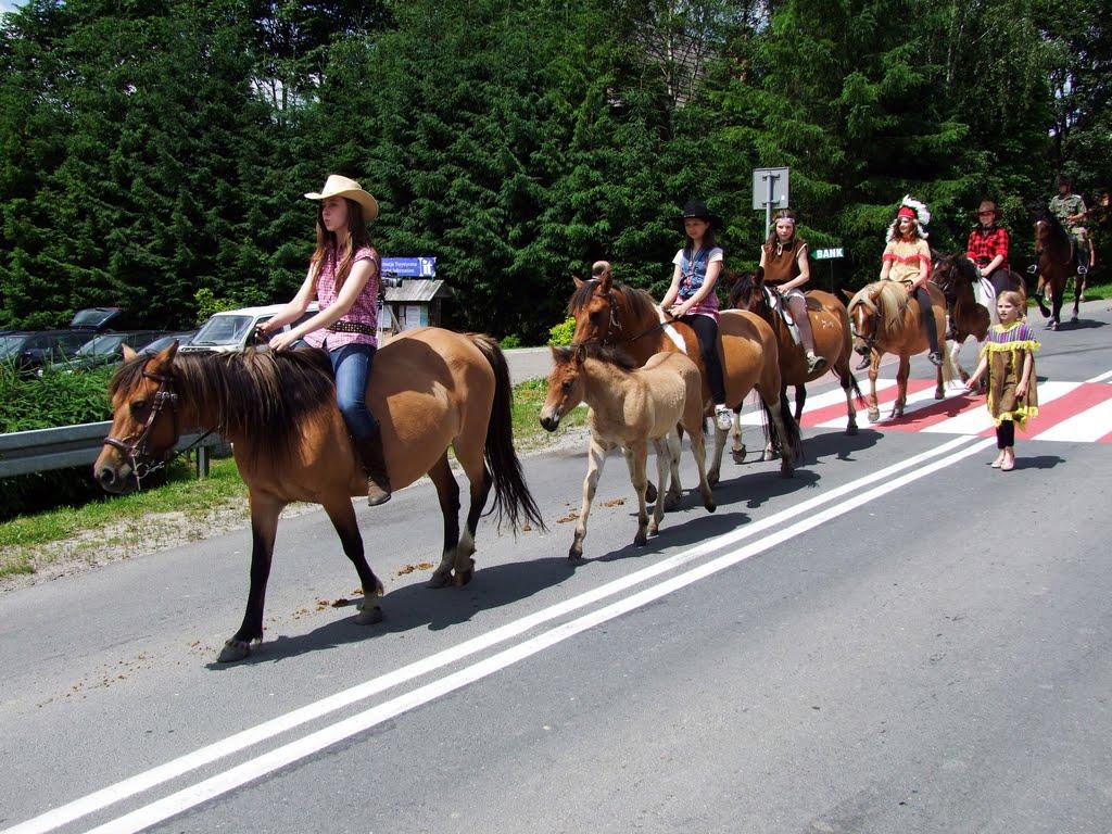 Лопушанка з panoramio.com - Лопушанка