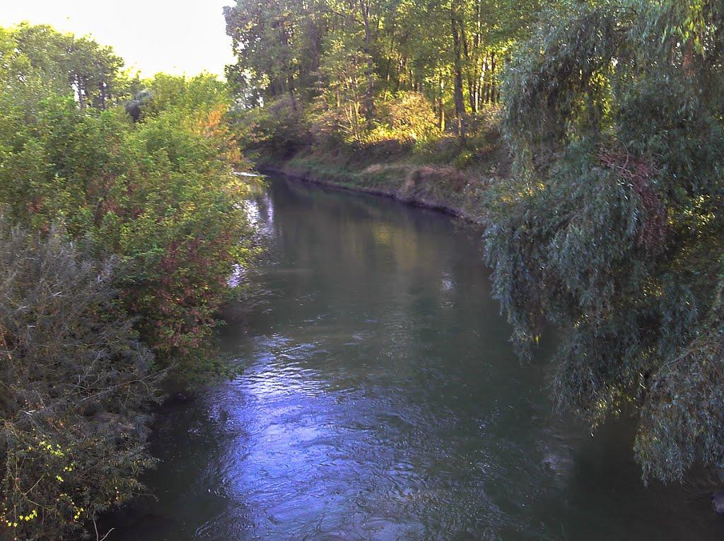 Розівка з panoramio.com (ч.2) - Розівка