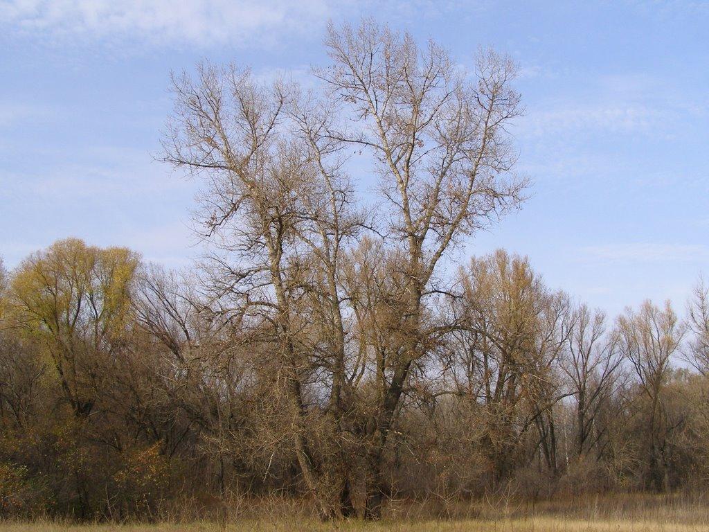 Нова Астрахань з panoramio.com - Нова Астрахань