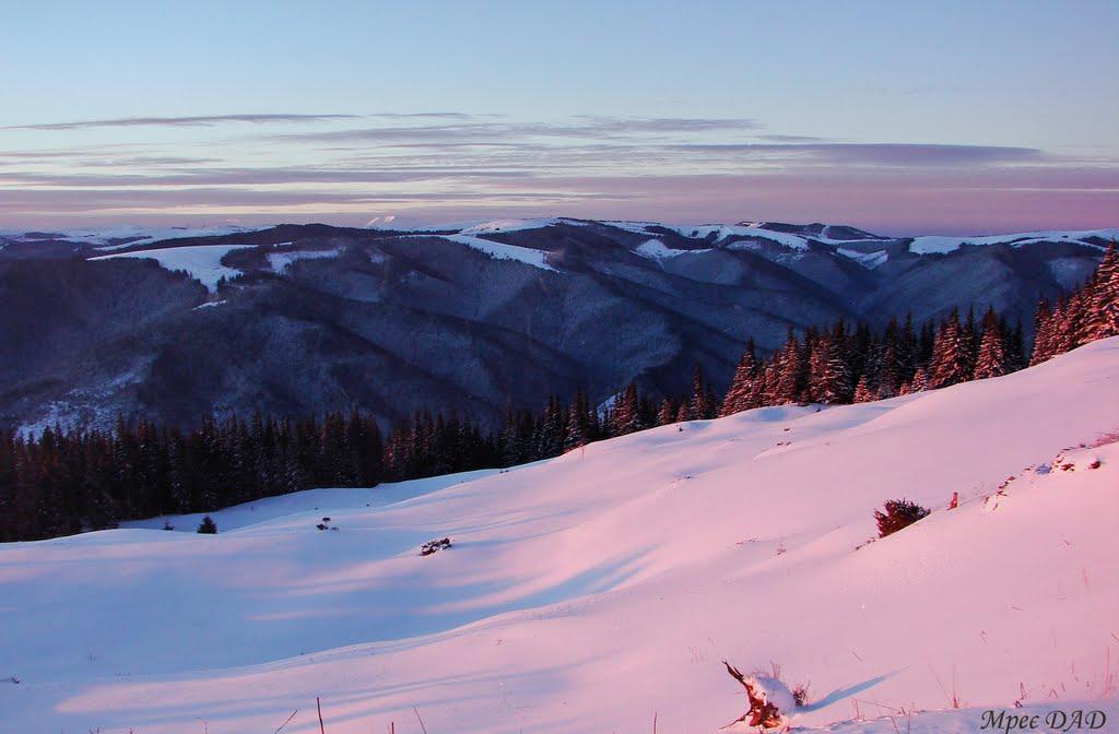 Явірник з panoramio.com - Явірник