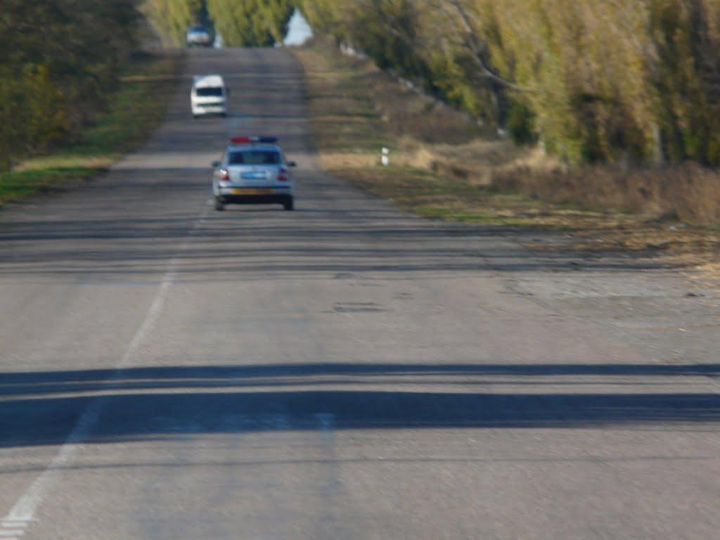 Сонцеве з panoramio.com - Сонцеве