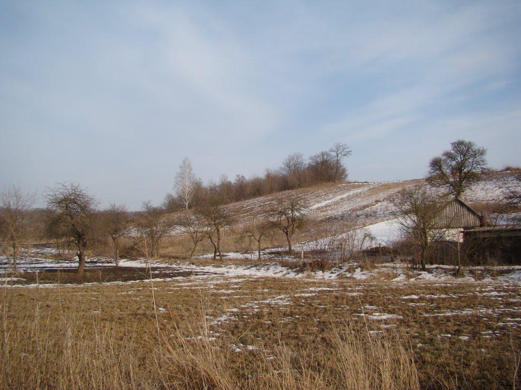 Косарі з panoramio.com (ч.2) - Косари