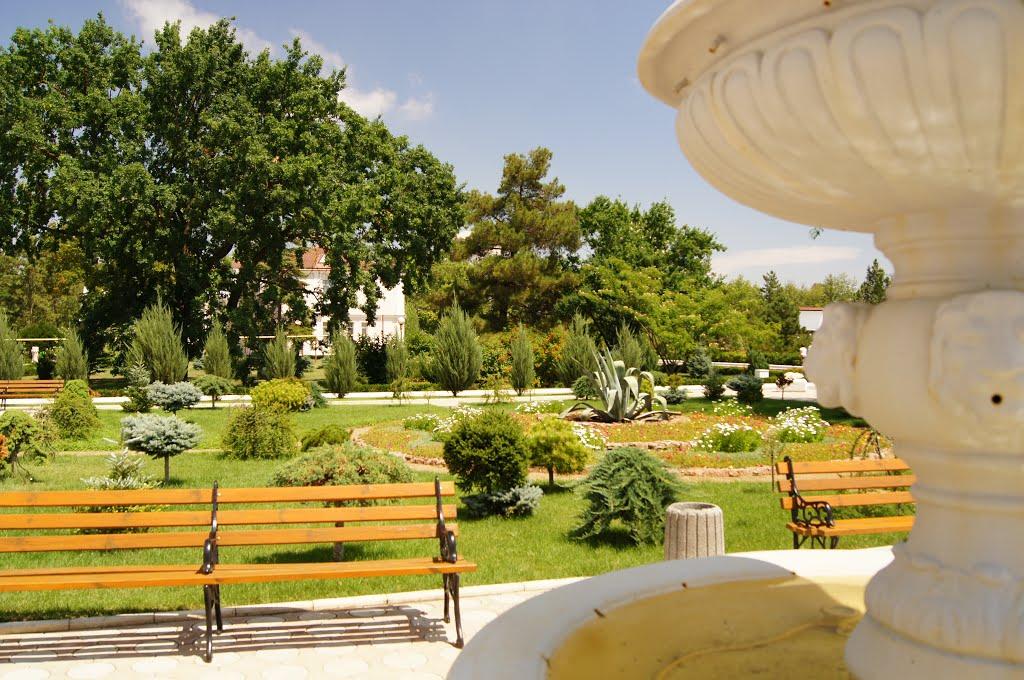 Саки з panoramio.com - Саки