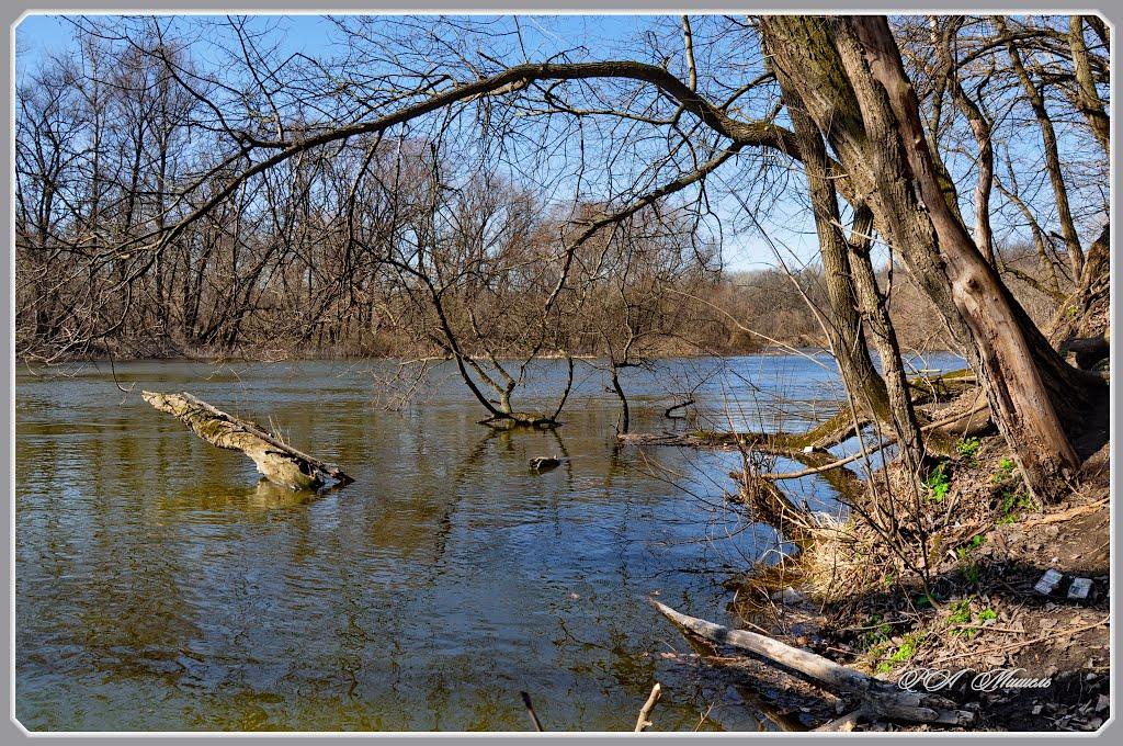 Білогорівка з panoramio.com - Білогорівка