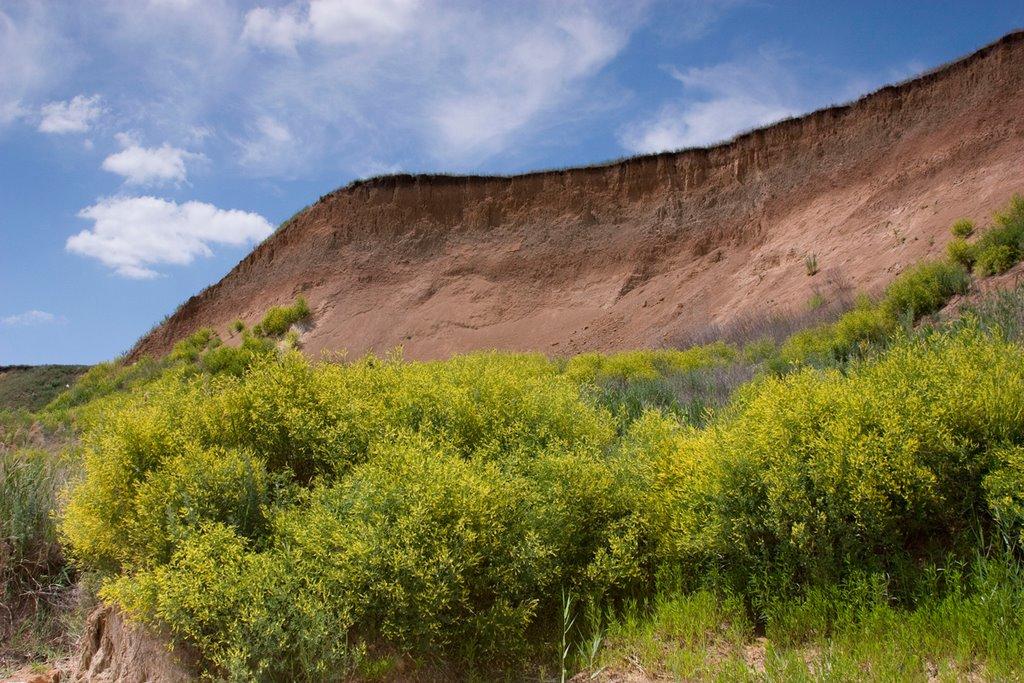 Куликівське з panoramio.com - Kulykivske