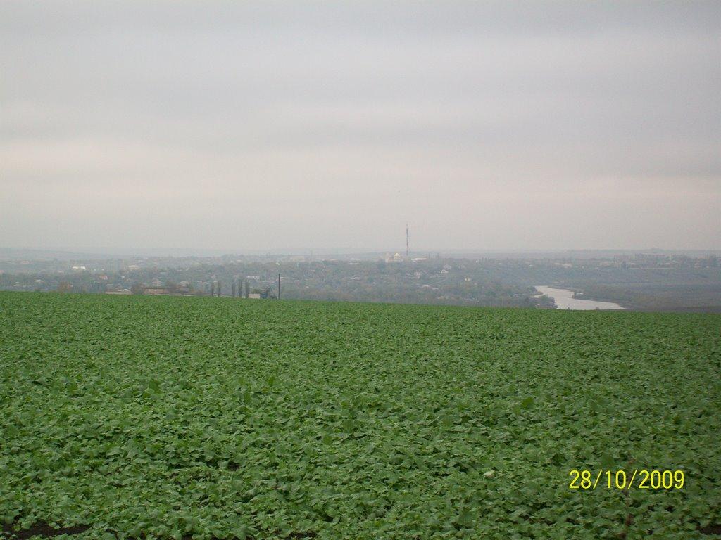 Березнегувате з panoramio.com - Березнегувате