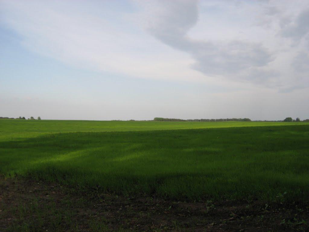 Озерне з panoramio.com - Озерне