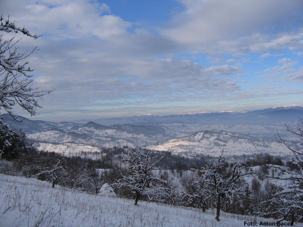 Великий Бичків з panoramio.com - Великий Бичків
