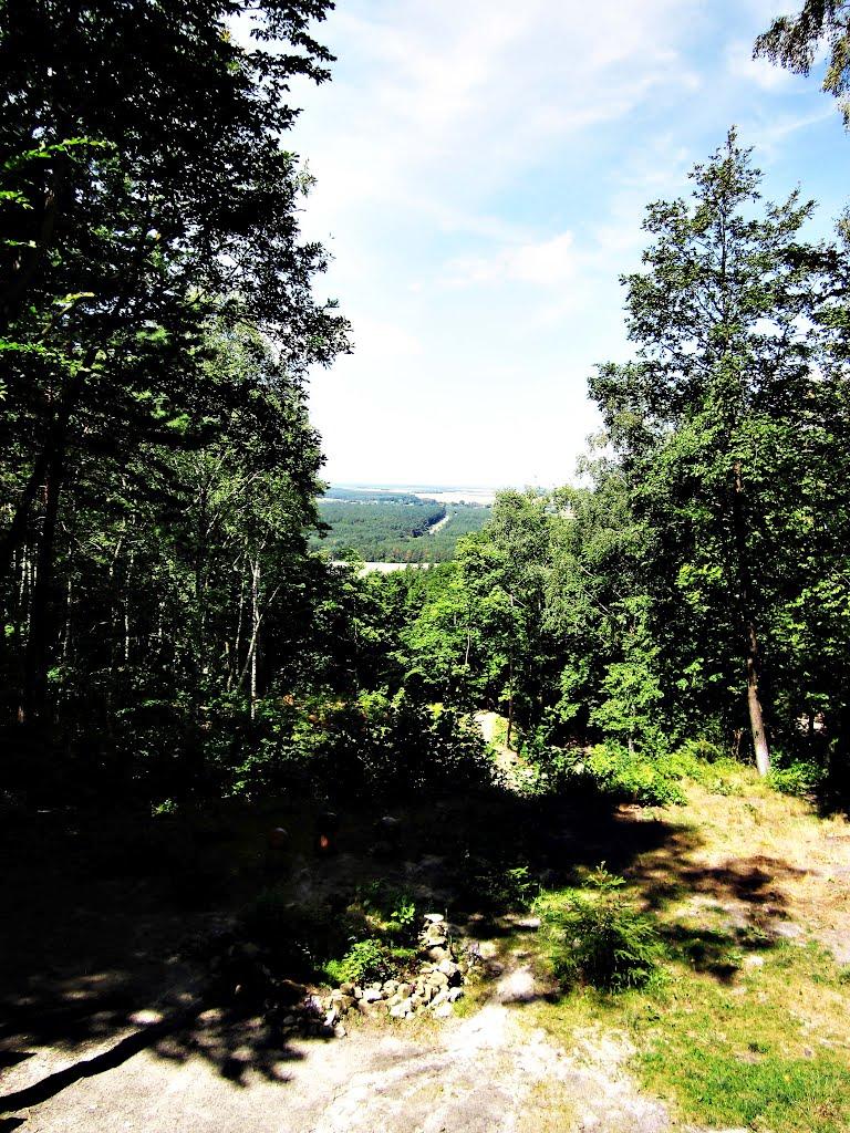 Великі Бережці з panoramio.com - Великі Бережці