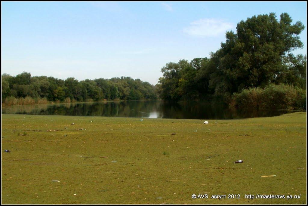 Миколаївка з panoramio.com (ч.2) - Николаевка