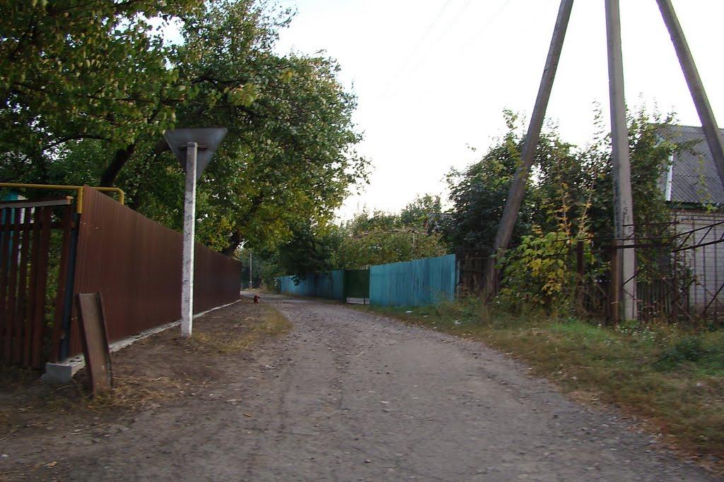 Косарі з panoramio.com (ч.2) - Косари