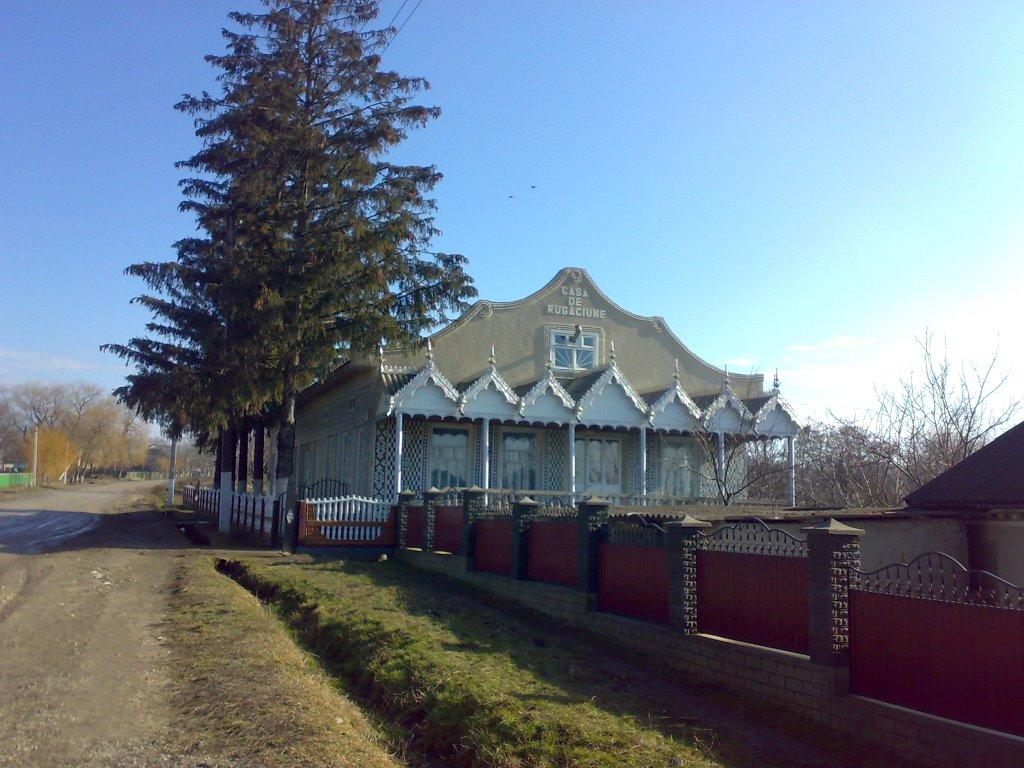 Нова Слобода з panoramio.com - Нова Слобода