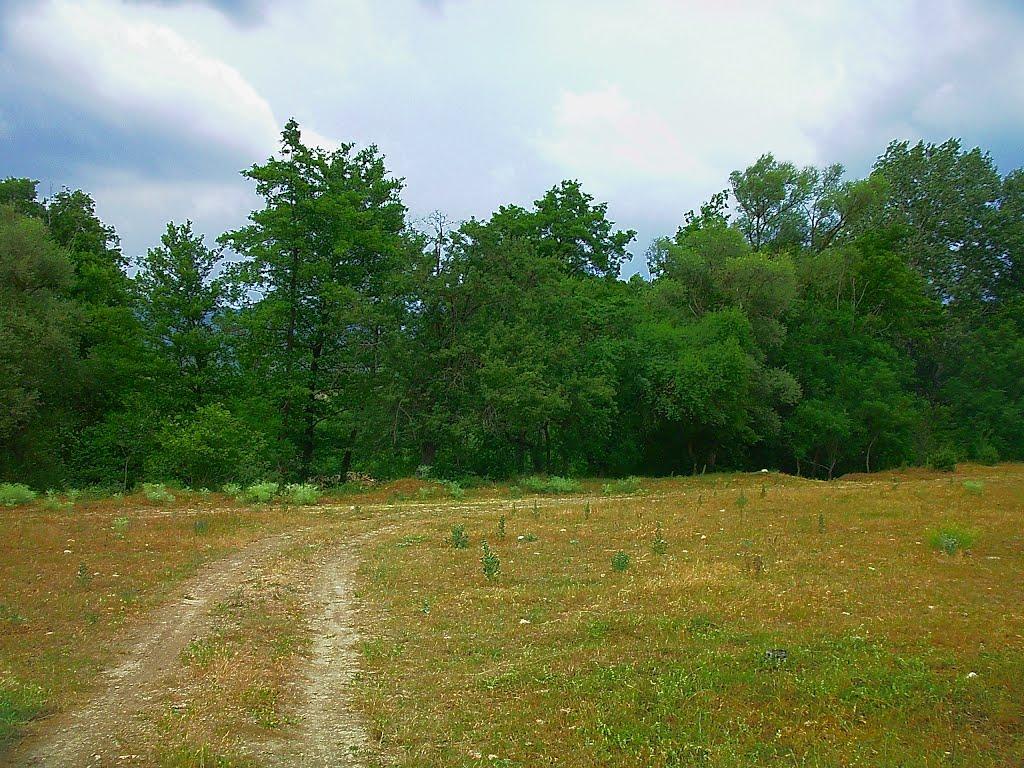 Голубинка з panoramio.com - Голубинка