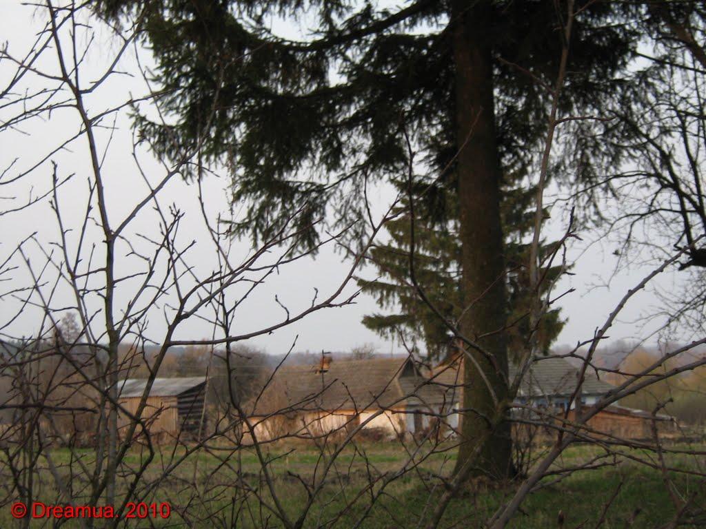 Снітівка з panoramio.com - Снитовка