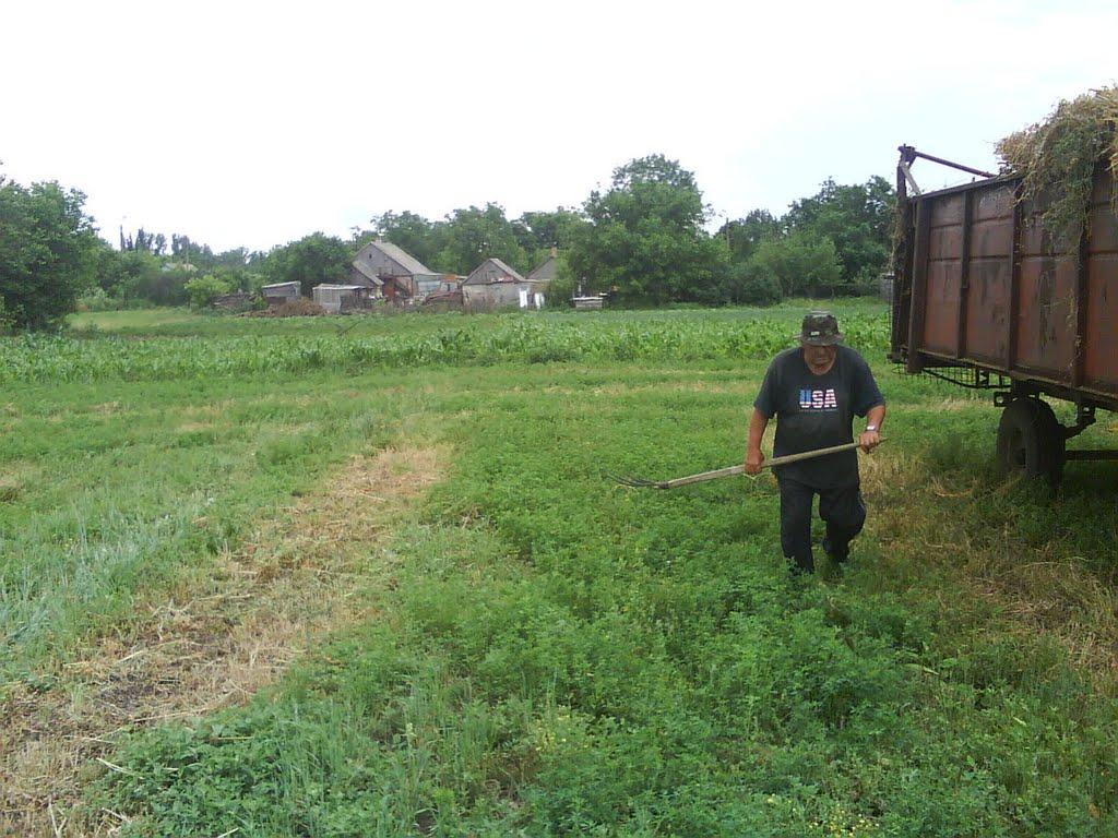 Просторе з panoramio.com - Просторе