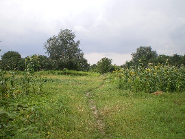 Горбані з panoramio.com - Горбані