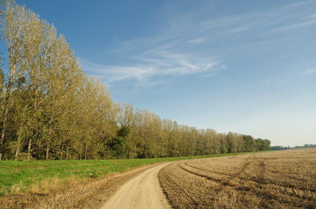 Розівка з panoramio.com (ч.2) - Розівка