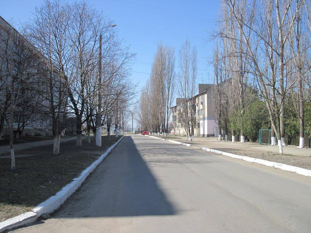 Вознесенськ з panoramio.com - Вознесенськ