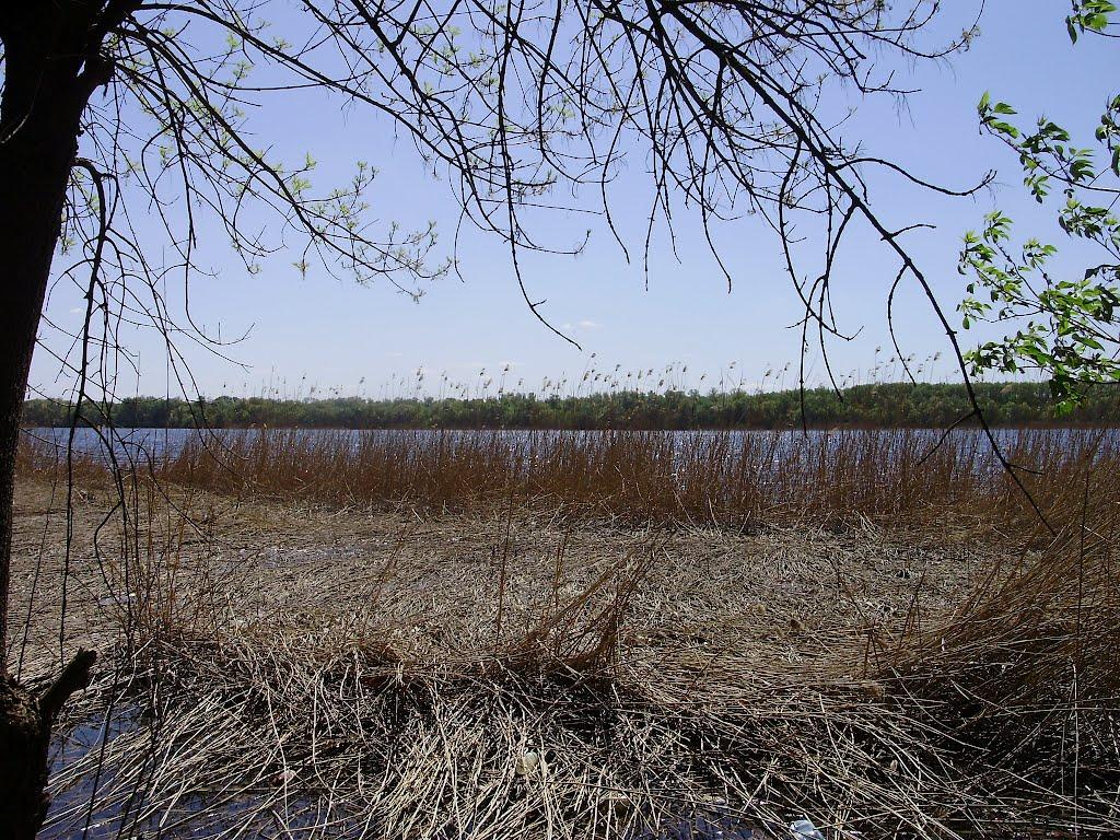 Придніпровське з panoramio.com - Придніпровське