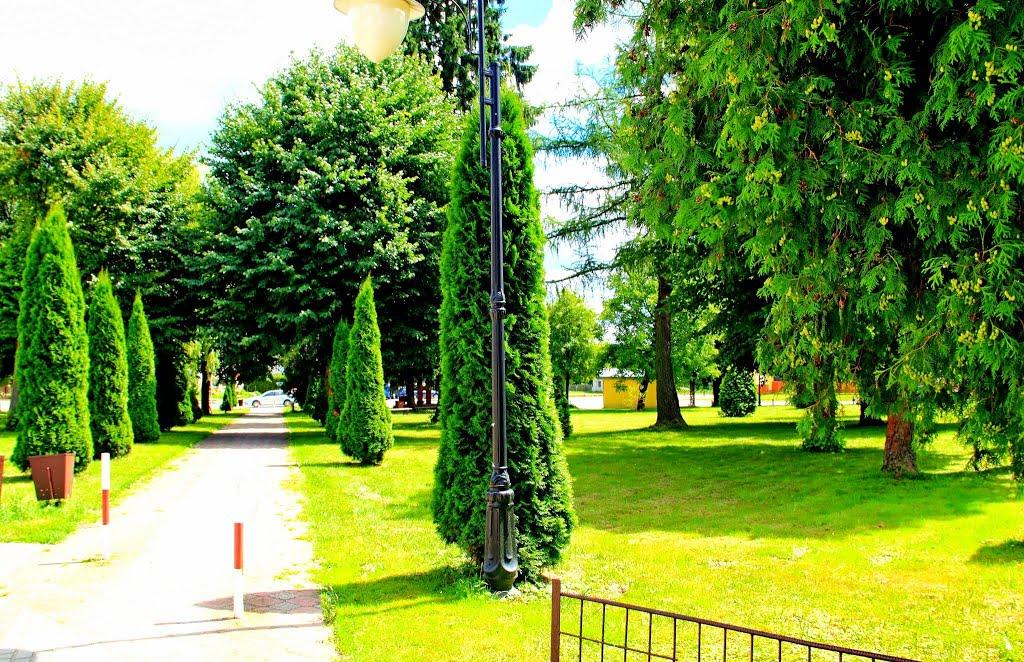 Свидниця з panoramio.com - Свидница