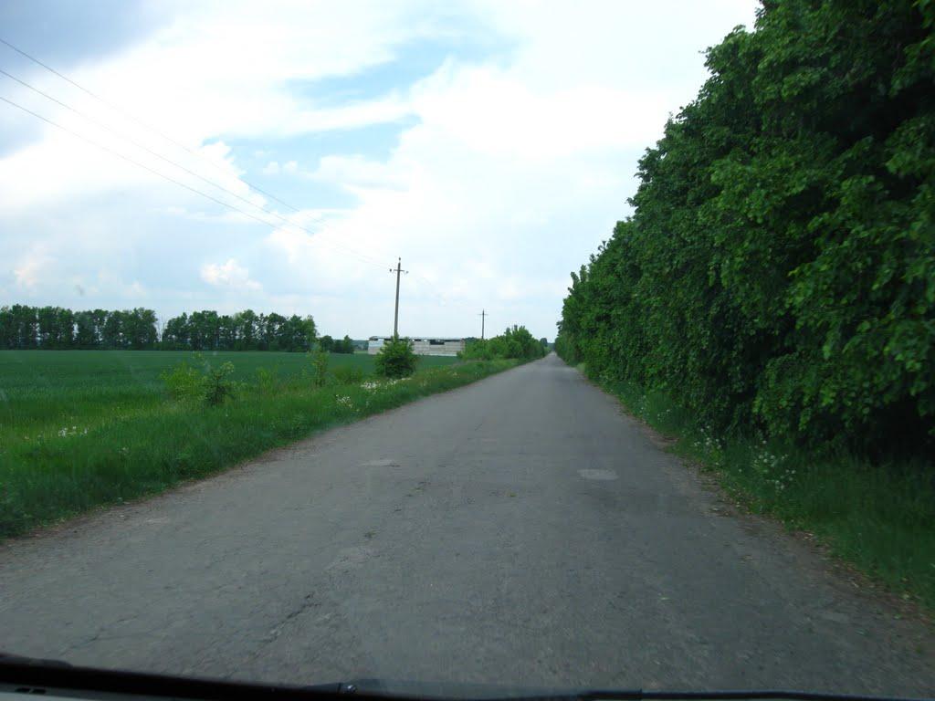 Губник з panoramio.com - Губник