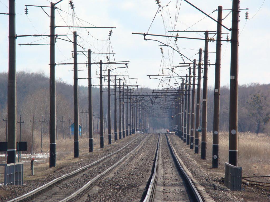 Косарі з panoramio.com (ч.2) - Косари