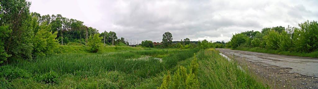 Великі Бірки з panoramio.com - Velyki Birky