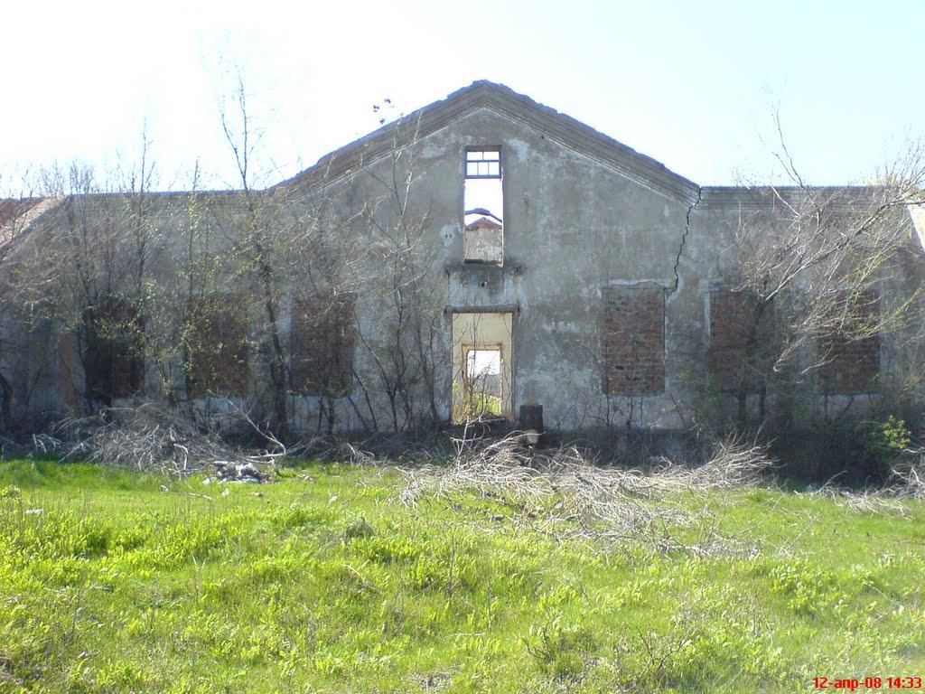 Звонецький Хутір з panoramio.com - Звонецький Хутір