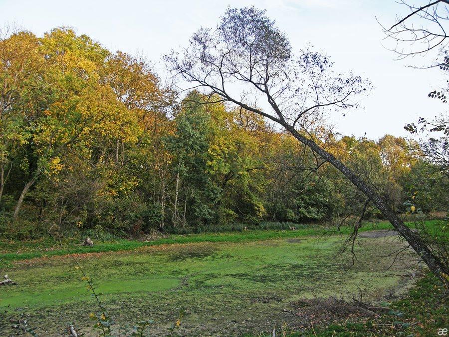 Благодатне з panoramio.com - Благодатне