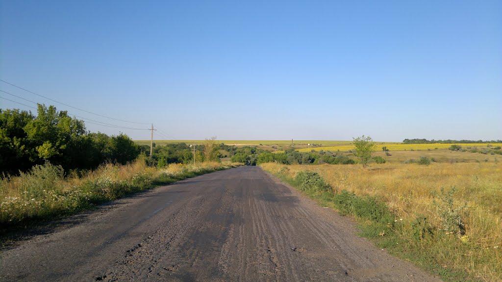 Рубці з panoramio.com - Рубцы