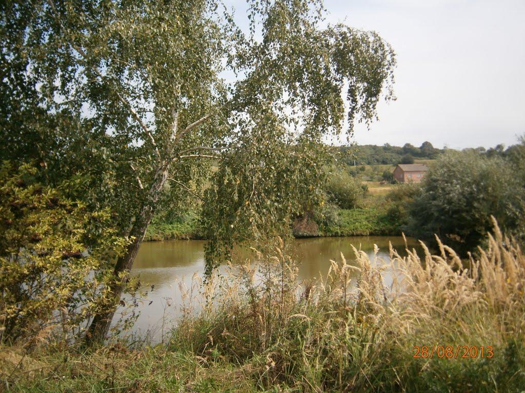 Берездівці з panoramio.com - Берездівці