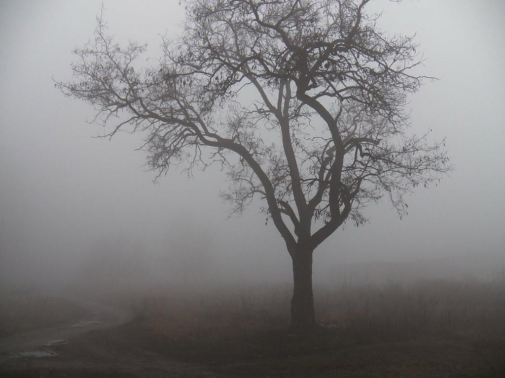Єнакієве з panoramio.com (ч.3) - Енакиево