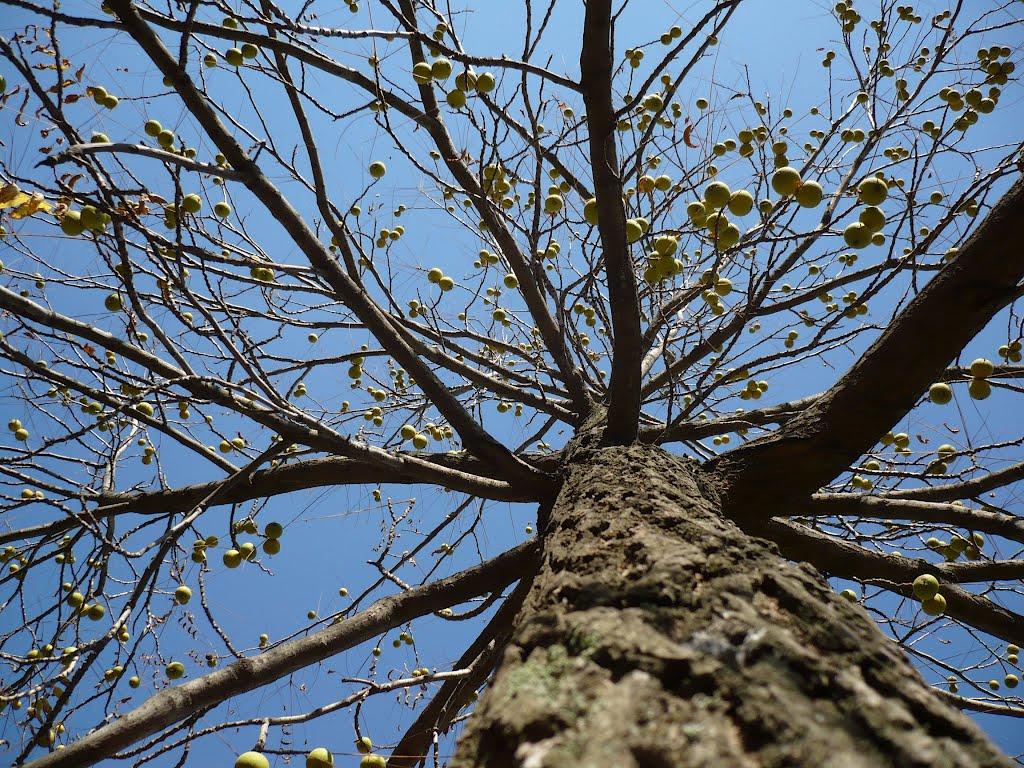 Харцизьк з panoramio.com - Харцызск