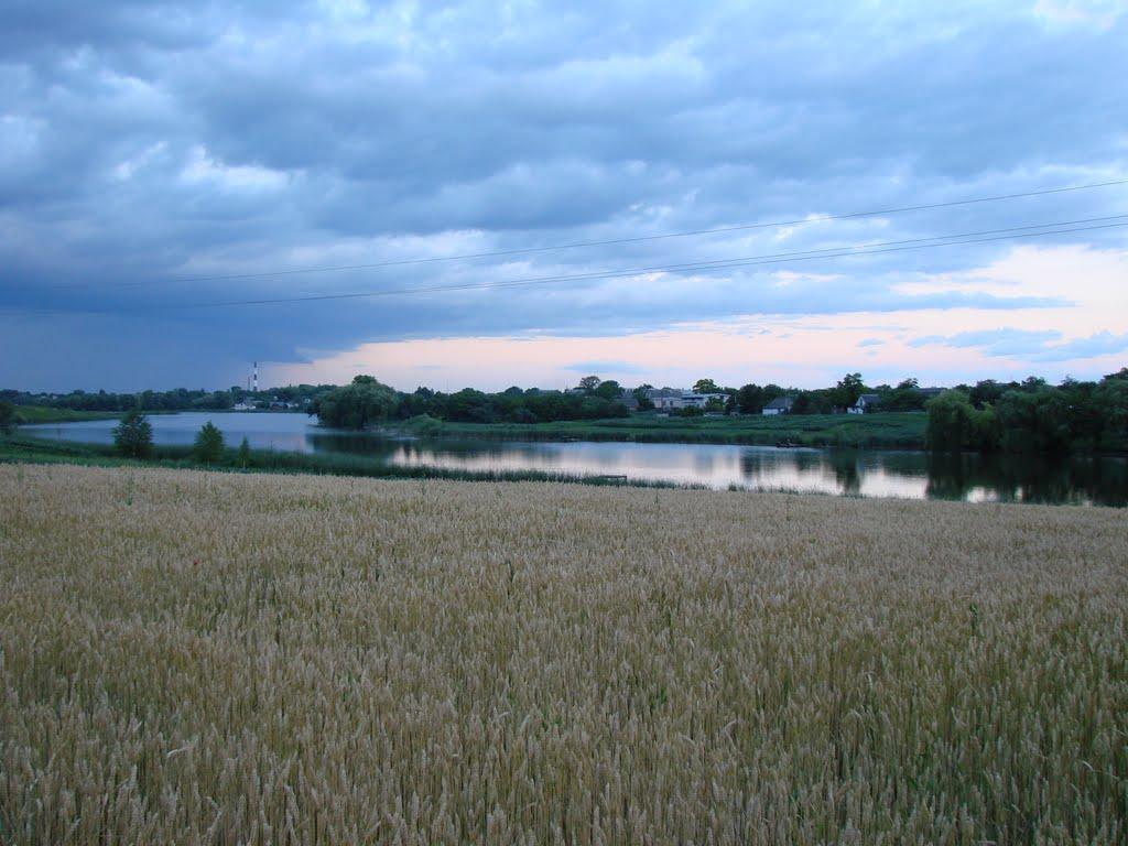 Гребінки з panoramio.com - Гребінки