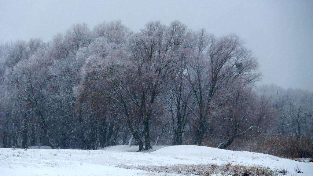 Черемушне з panoramio.com - Черемушное