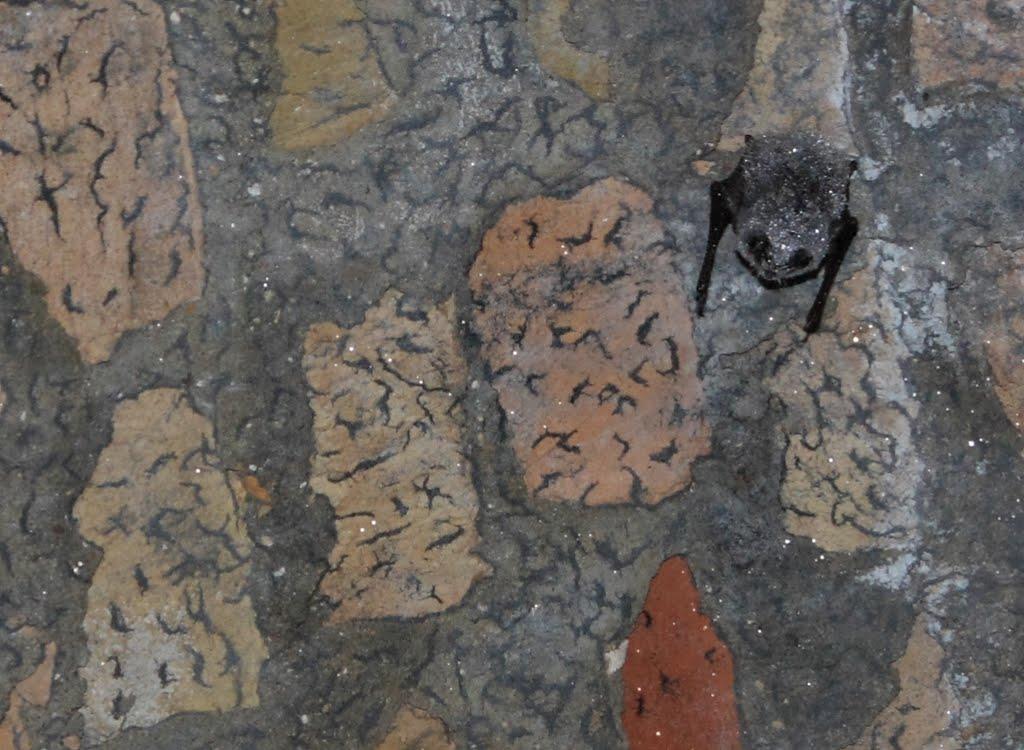 Дубно з panoramio.com (ч.2) - Дубно