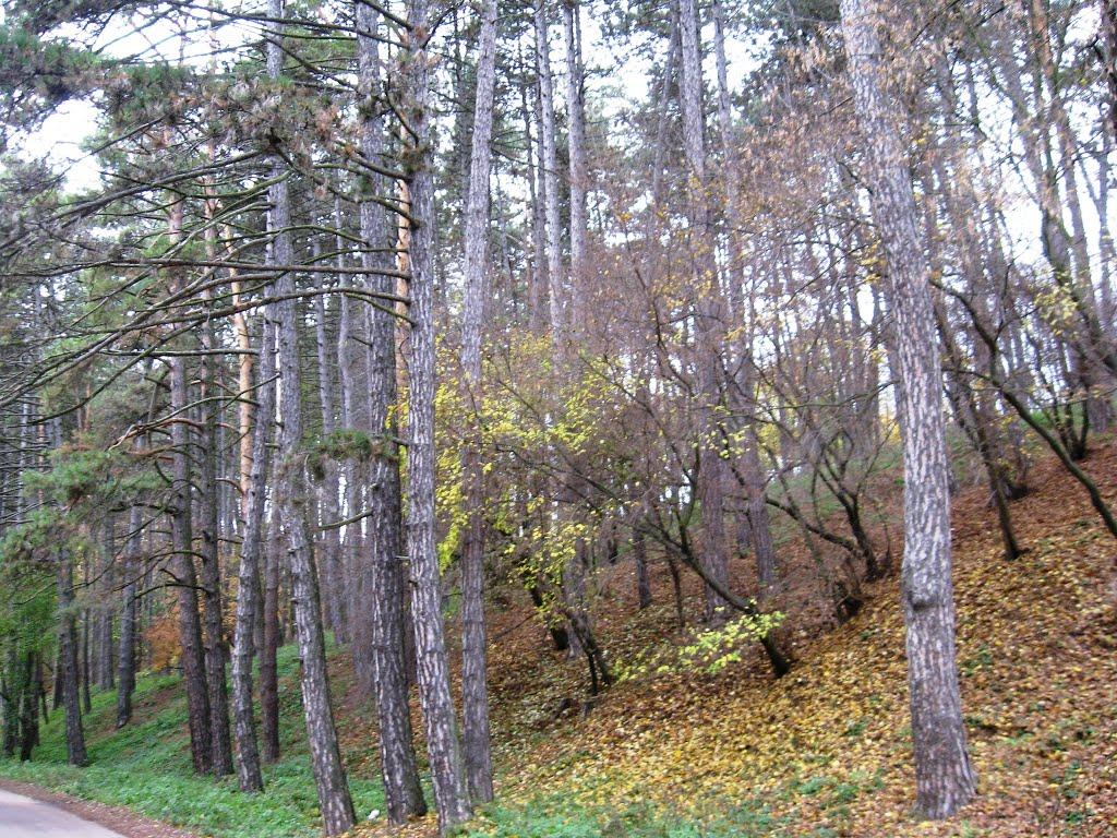 Тростянець з panoramio.com - Тростянець