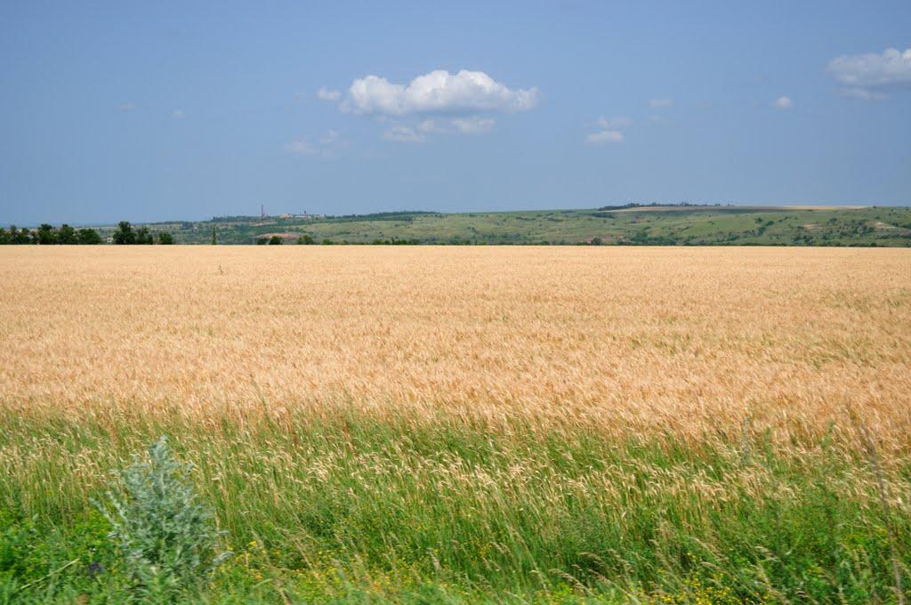 Сіверськ з panoramio.com - Сіверськ