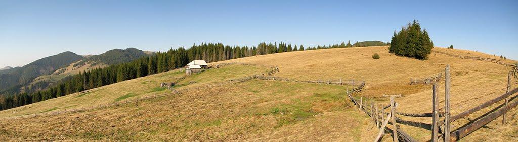 Зелене з panoramio.com - Зелене