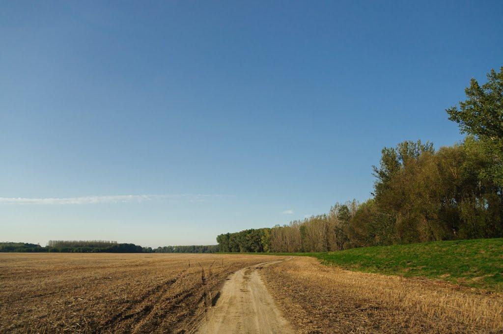 Розівка з panoramio.com (ч.2) - Розівка