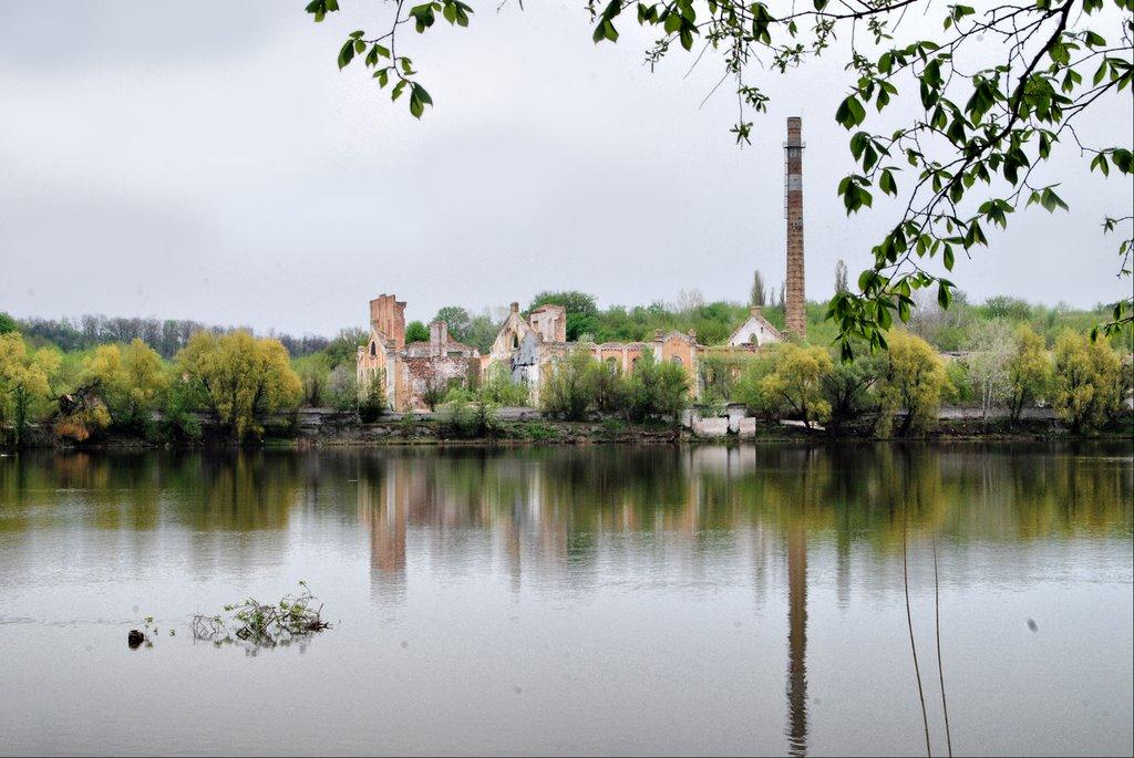 Мартинівка з panoramio.com - Мартинівка