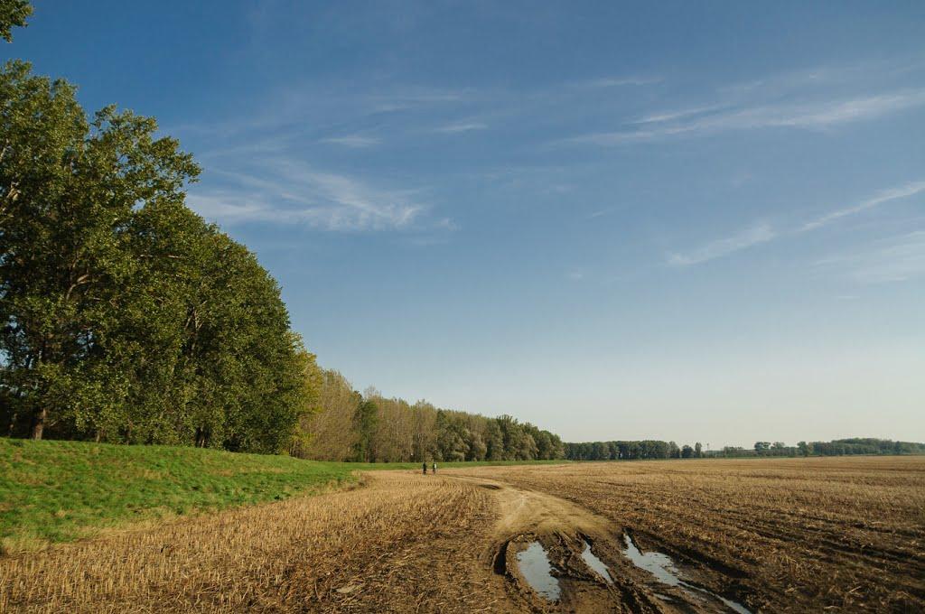 Розівка з panoramio.com (ч.2) - Розівка