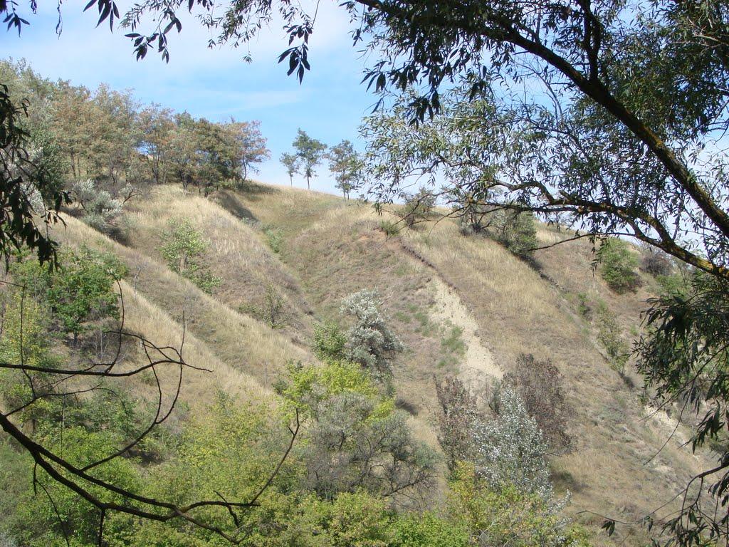 Задонецьке з panoramio.com - Задонецьке