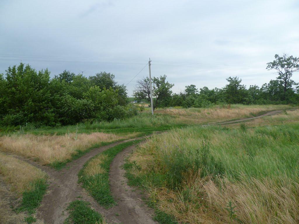 Олександро-Білівка з panoramio.com - Александро-Беловка