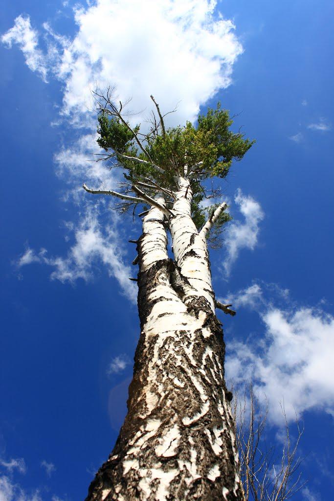 Грубське з panoramio.com - Грубське